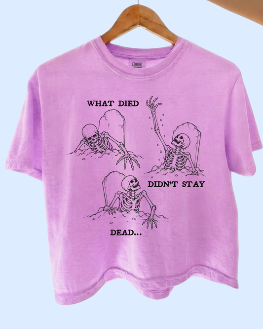 What died didn’t stay dead comfort colors tee