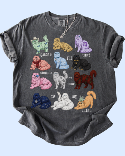 Stumble on home to my cats comfort colors tee